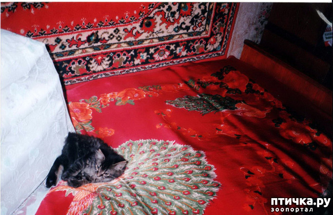 ���� 4: ���. ��������� ���.