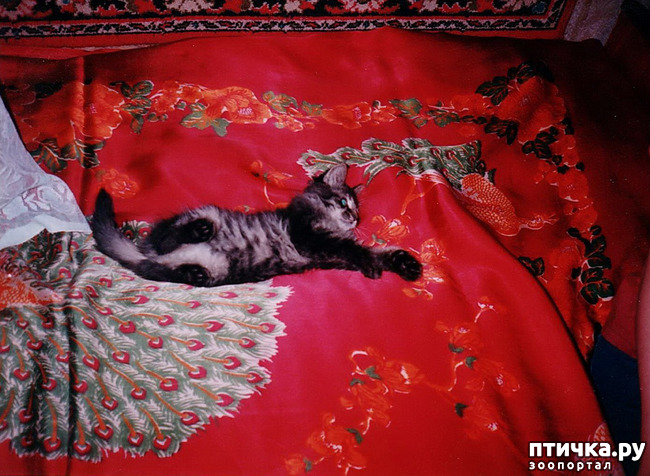 ���� 5: ���. ��������� ���.