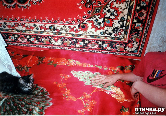 ���� 7: ���. ��������� ���.