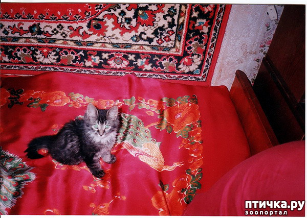 ���� 10: ���. ��������� ���.