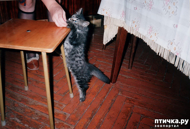 ���� 8: ���. ��������� ���.