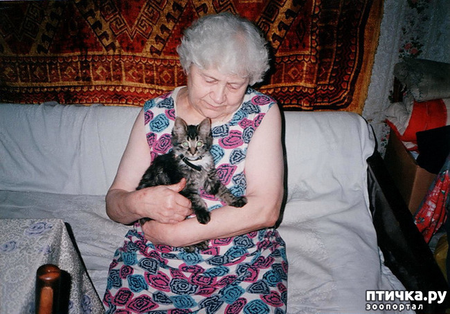 ���� 9: ���. ��������� ���.