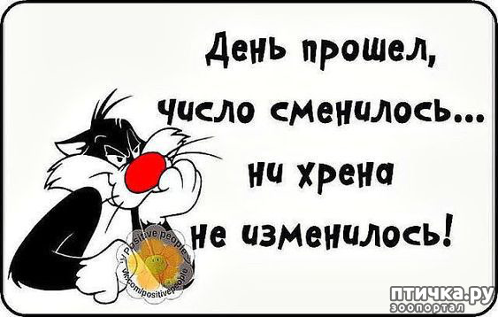 ���� 5: � ����� ������ ����� ����