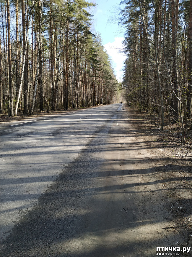 ���� 8: ������������