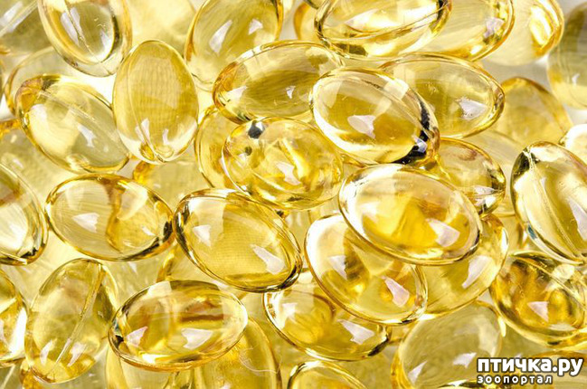 ���� 1: ������� D: ��� �� �������� ������ ��� �����.