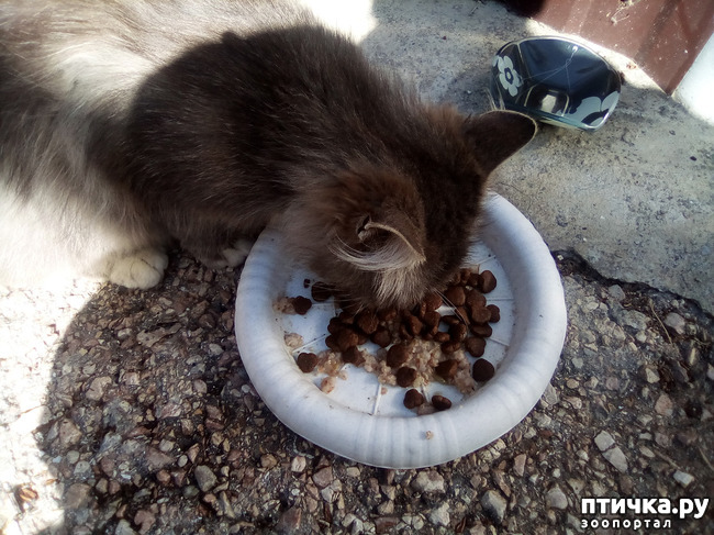 ���� 3: � ������ �������! ������� ���������. �������� �����������.