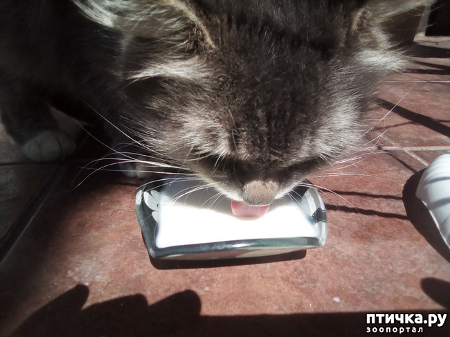 ���� 4: � ������ �������! ������� ���������. �������� �����������.