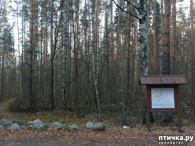 ���� 9: ������������