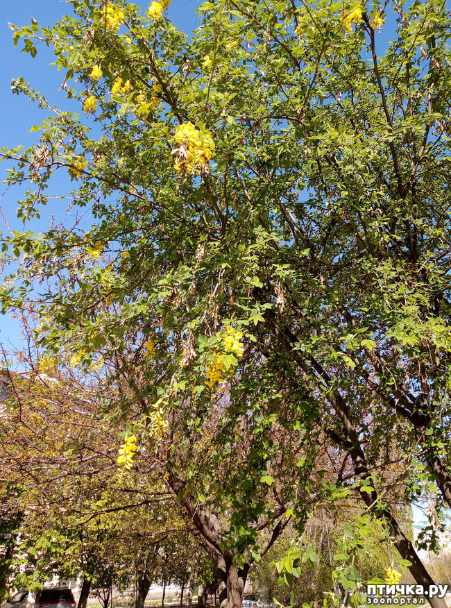 ���� 1: ������� � � �����