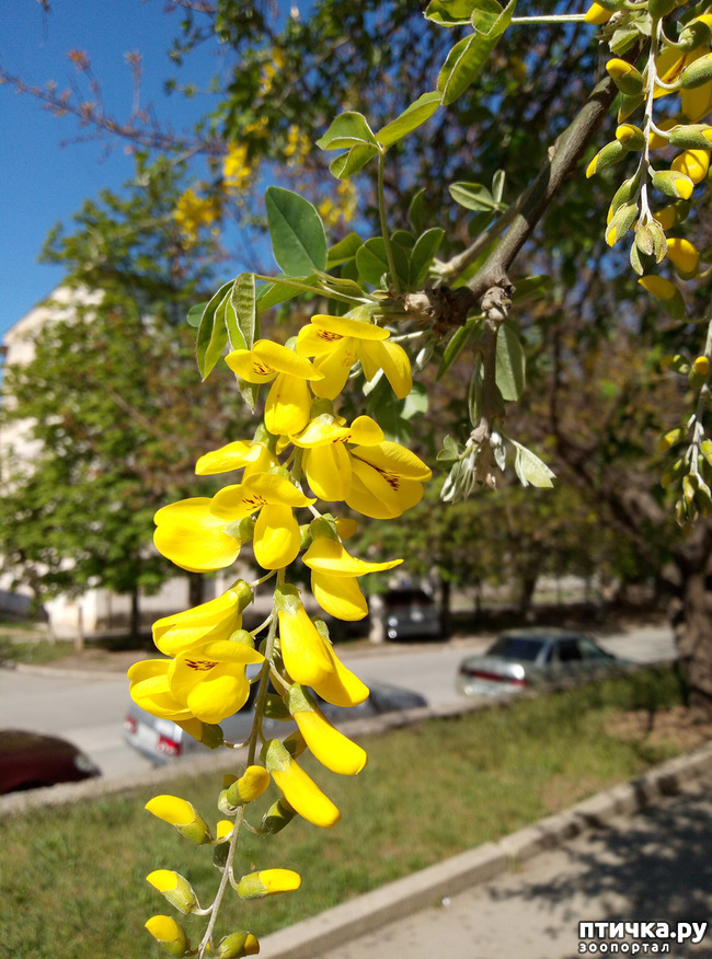 ���� 2: ������� � � �����