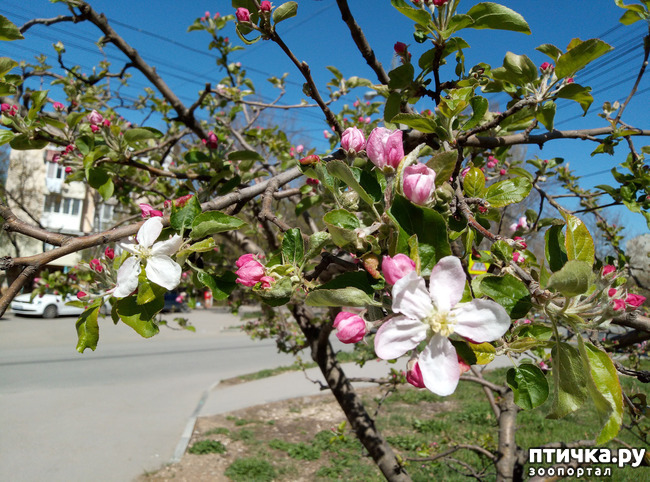 ���� 4: ������� � � �����