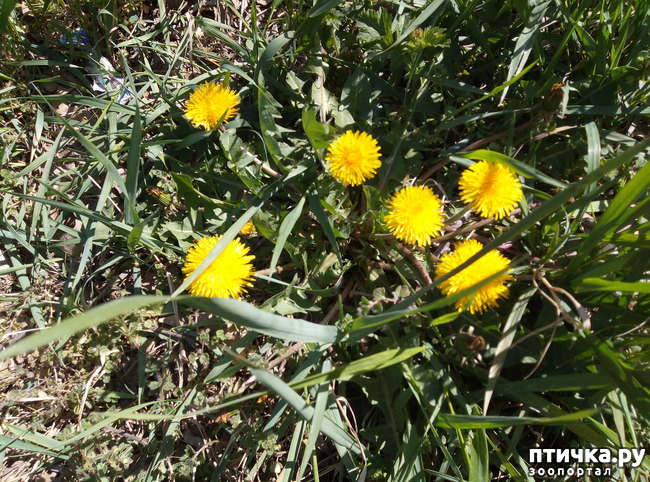 ���� 5: ������� � � �����