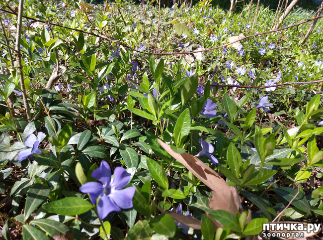 ���� 6: ������� � � �����