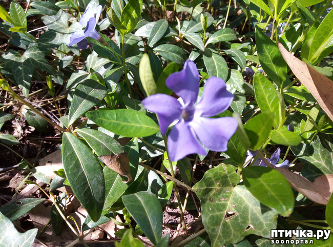 ���� 7: ������� � � �����