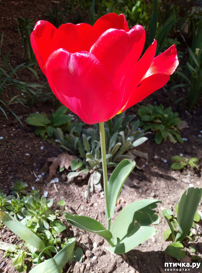 ���� 8: ������� � � �����