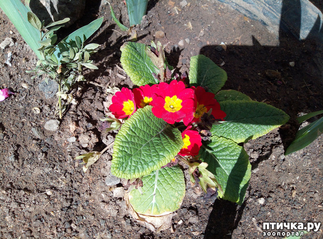 ���� 9: ������� � � �����