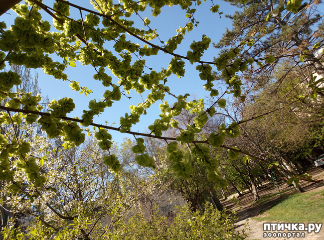 ���� 12: ������� � � �����