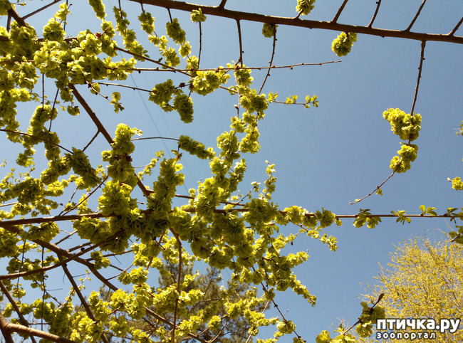 ���� 11: ������� � � �����