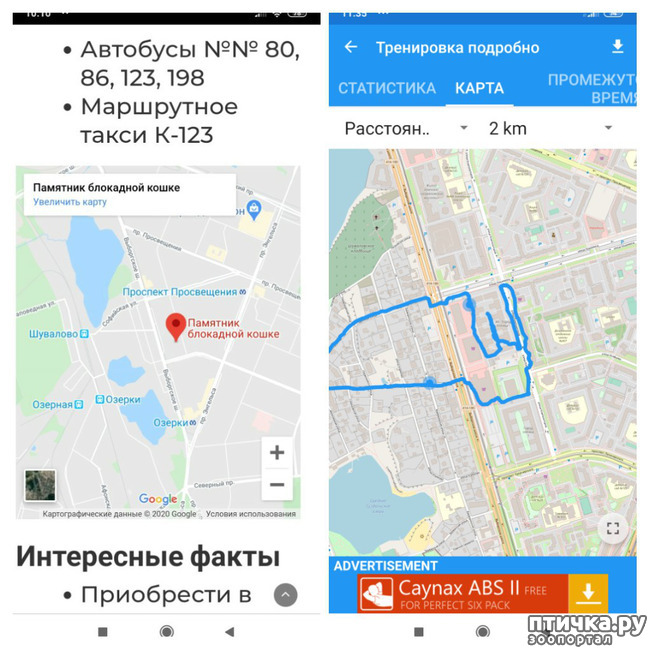 ���� 10: ������������