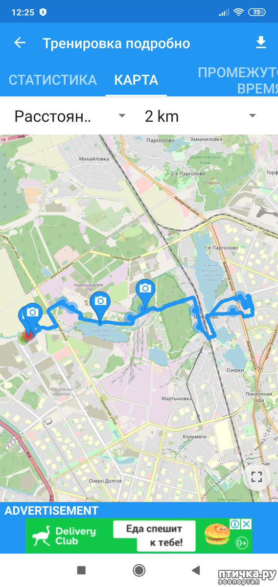 ���� 12: ������������