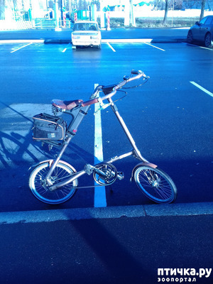 фотография: Велопрогулка фото: Велопрогулка