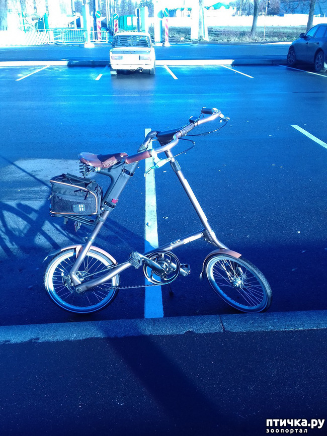 ���� 1: ������������