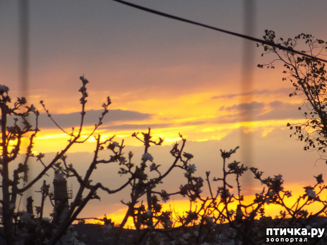 ���� 2: � ������ �������! ������� ���������. �������� �����������.