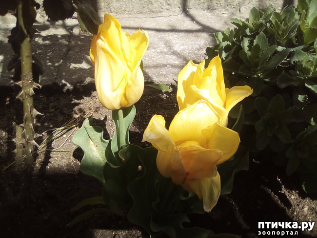 ���� 5: � ������ �������! ������� ���������. �������� �����������.