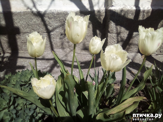 ���� 6: � ������ �������! ������� ���������. �������� �����������.