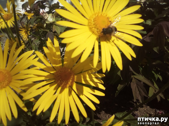 ���� 8: � ������ �������! ������� ���������. �������� �����������.