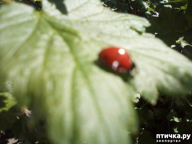 ���� 9: � ������ �������! ������� ���������. �������� �����������.