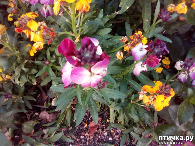 ���� 11: � ������ �������! ������� ���������. �������� �����������.