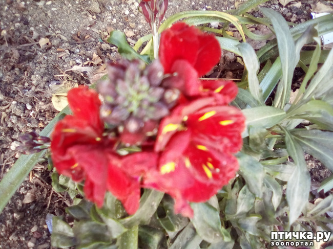 ���� 12: � ������ �������! ������� ���������. �������� �����������.