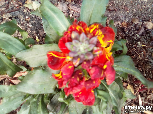 ���� 13: � ������ �������! ������� ���������. �������� �����������.