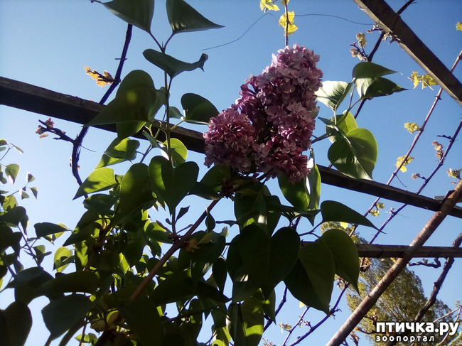 ���� 15: � ������ �������! ������� ���������. �������� �����������.