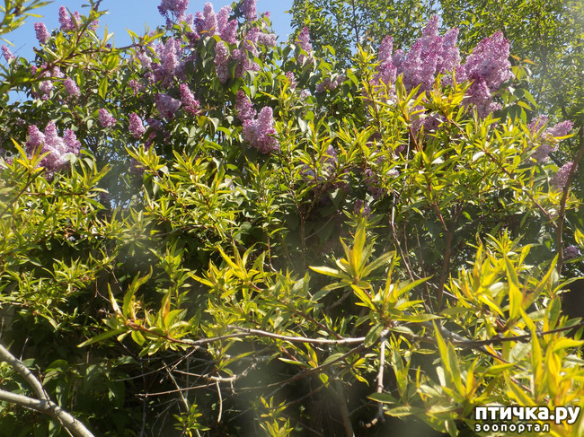 ���� 16: � ������ �������! ������� ���������. �������� �����������.