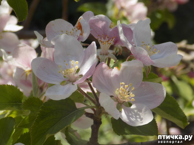 ���� 17: � ������ �������! ������� ���������. �������� �����������.