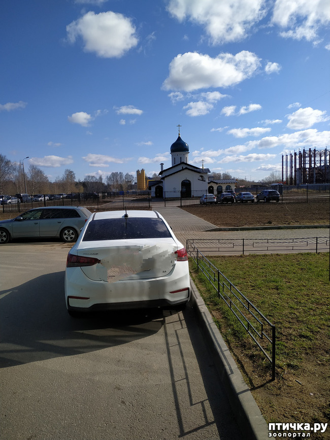 ���� 2: ������������