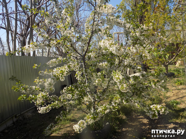 ���� 18: � ������ �������! ������� ���������. �������� �����������.