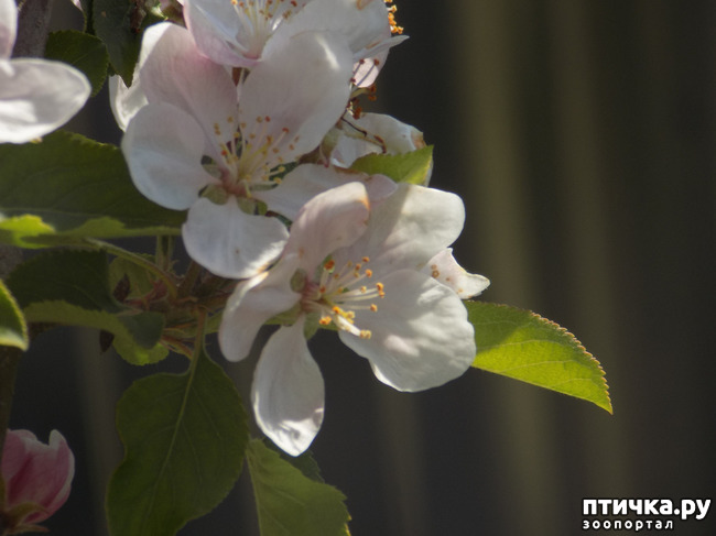 ���� 20: � ������ �������! ������� ���������. �������� �����������.