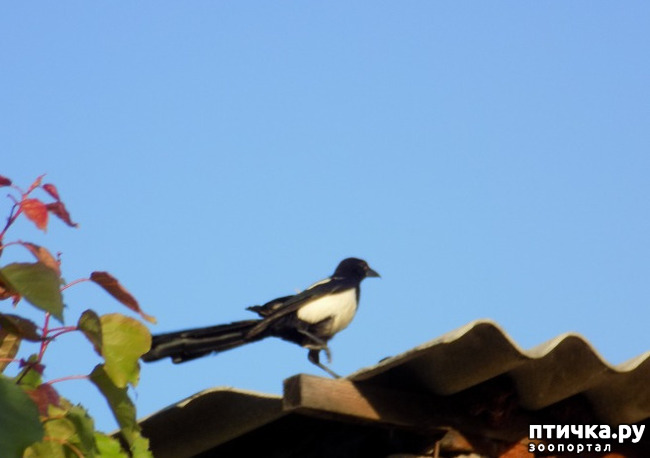 ���� 23: � ������ �������! ������� ���������. �������� �����������.