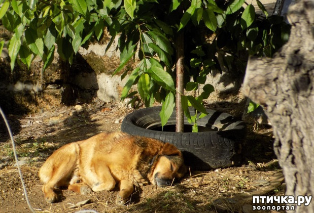 ���� 25: � ������ �������! ������� ���������. �������� �����������.