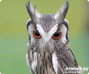 ����: �������. �����������. ��������� �����.