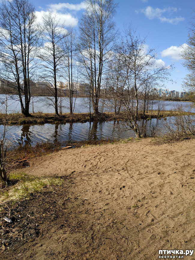 ���� 6: ������������