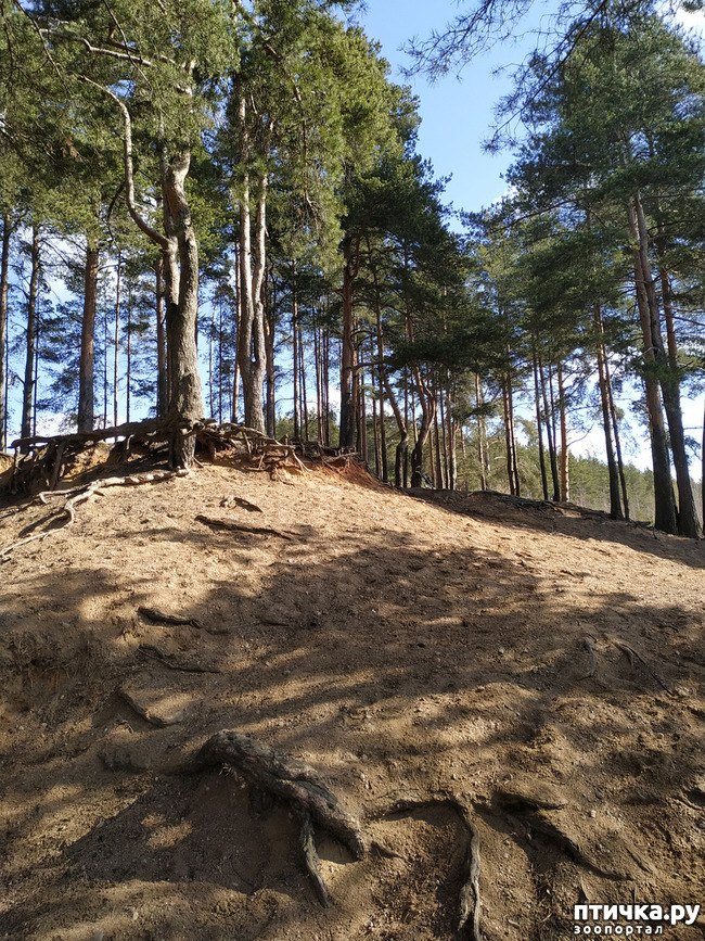 ���� 7: ������������