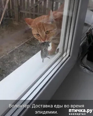 ����: �������� ��� �� ������!