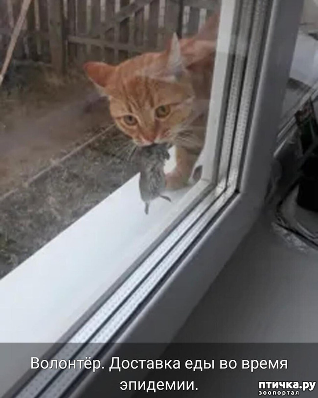 ���� 1: �������� ��� �� ������!