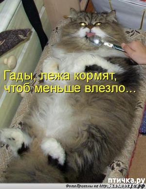 ����: ������� �����