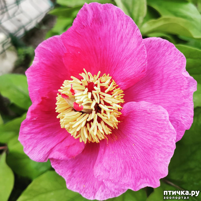 ���� 4: ������� ������� �����