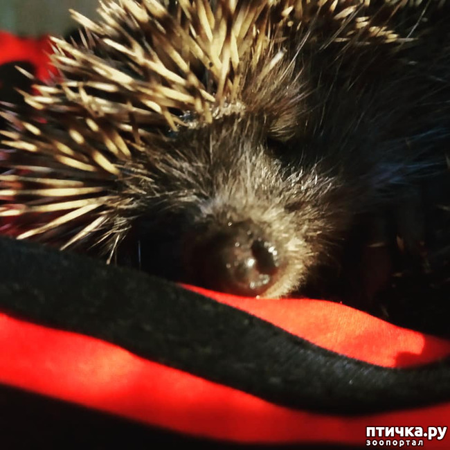 ���� 5: ������� ������� �����